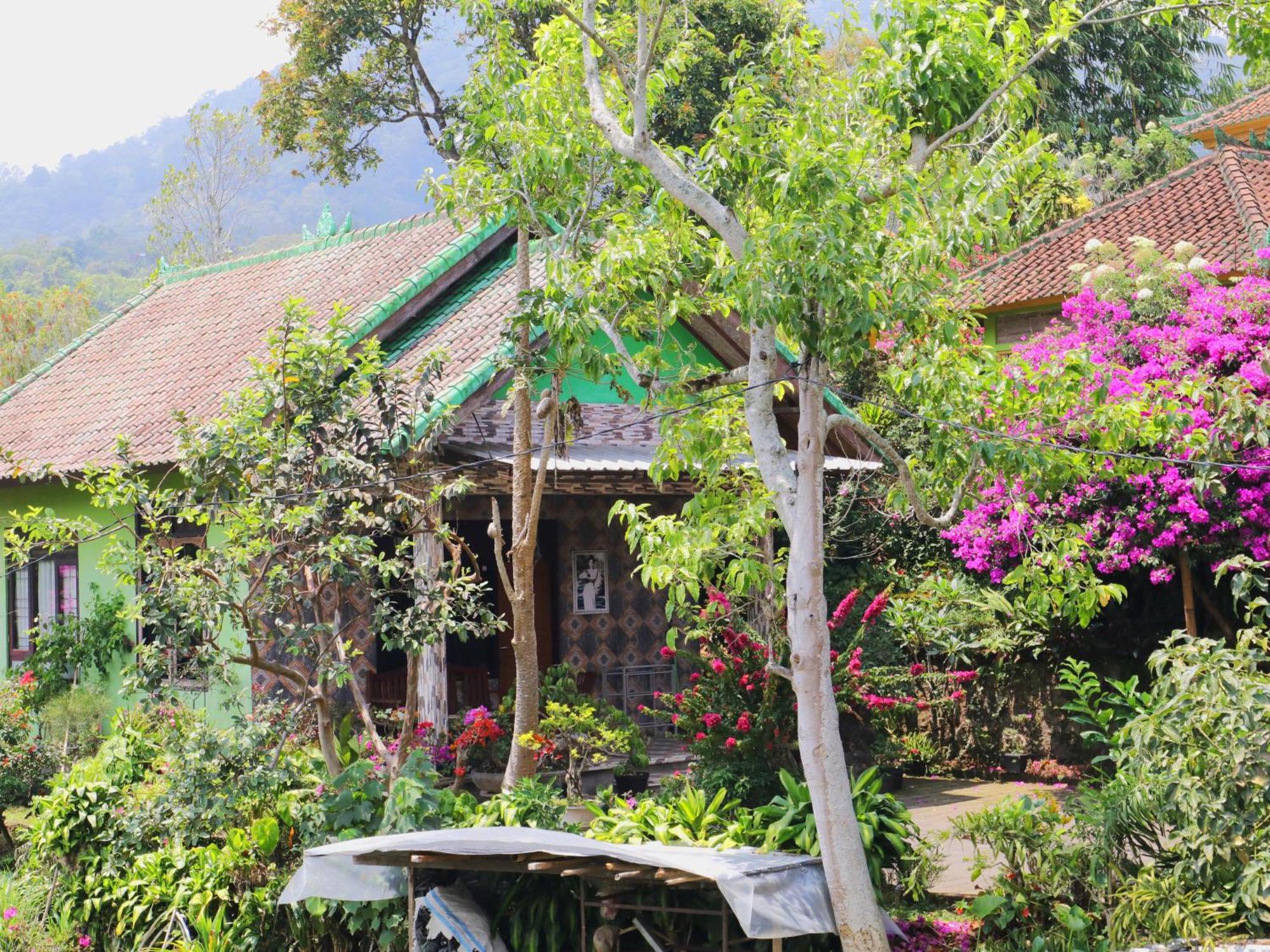 Dajan Buyan Homestay Bedugul  Eksteriør bilde