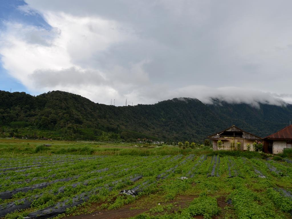 Dajan Buyan Homestay Bedugul  Eksteriør bilde
